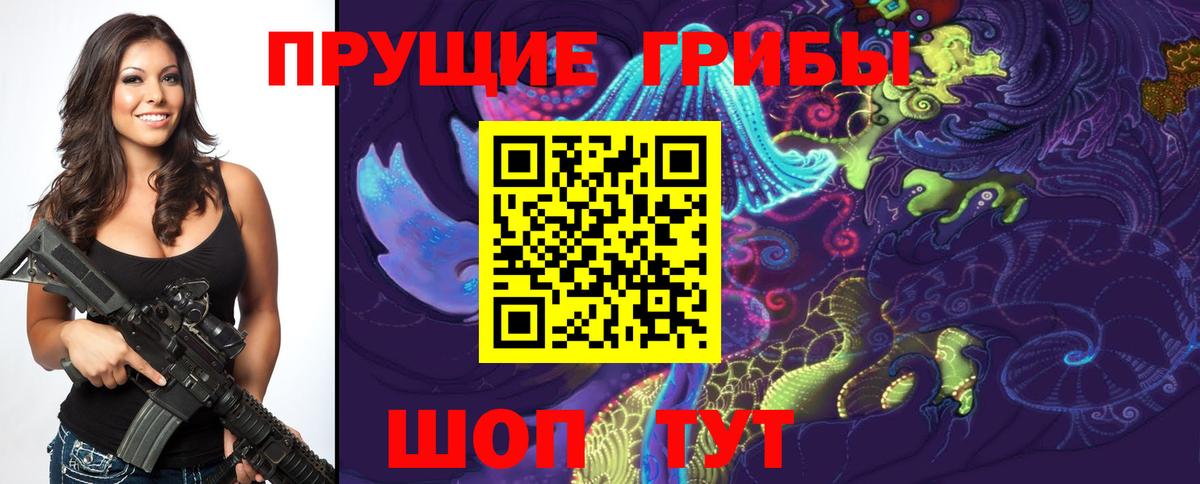 Псилоцибиновые грибы ЛСД  Вход с VPN  купить  цена  Камышлов 