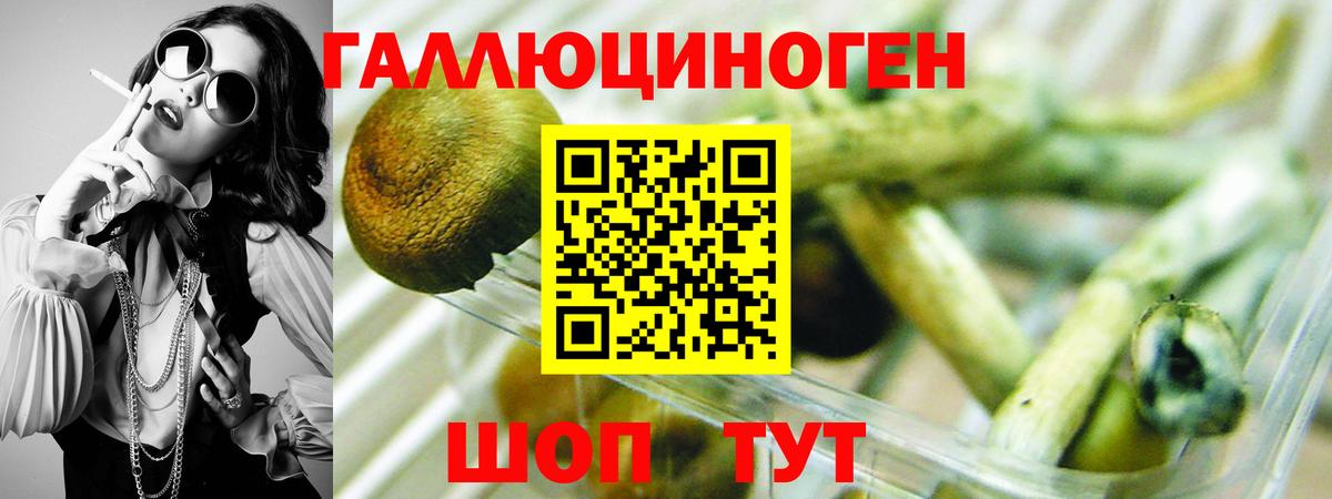 Галлюциногенные грибы ЛСД Камышлов