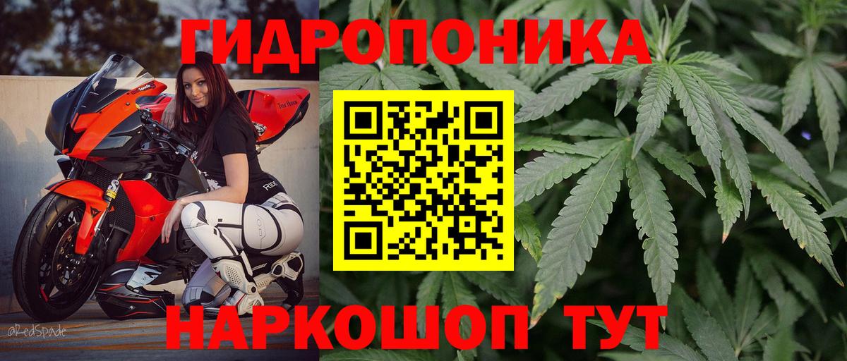 МАРИХУАНА AK-47  Конопля Ganja  Бошки марихуана OG Kush  Вход с VPN  Камышлов 